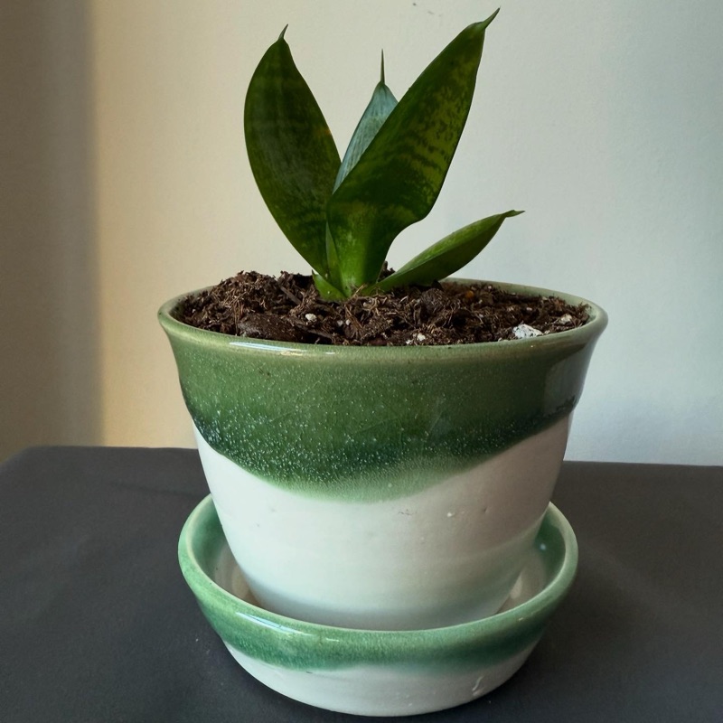 Pottery Piece
